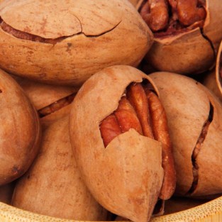 America creamy Pecan